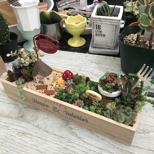 受注制作 ギフトにも にゃんこガーデン箱庭風〜多肉植物寄せ植え 多肉