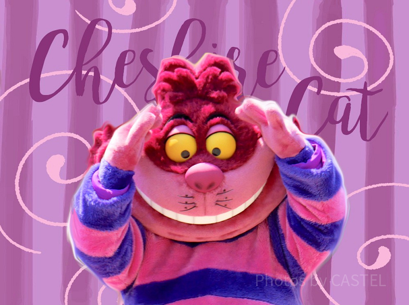 ディズニー】チェシャ猫グッズ2選！ディズニーランド＆シーで買える