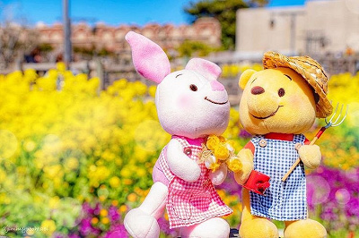 必見】ディズニーのぬいもーずとは？ディズニーストア限定グッズ！ぬい