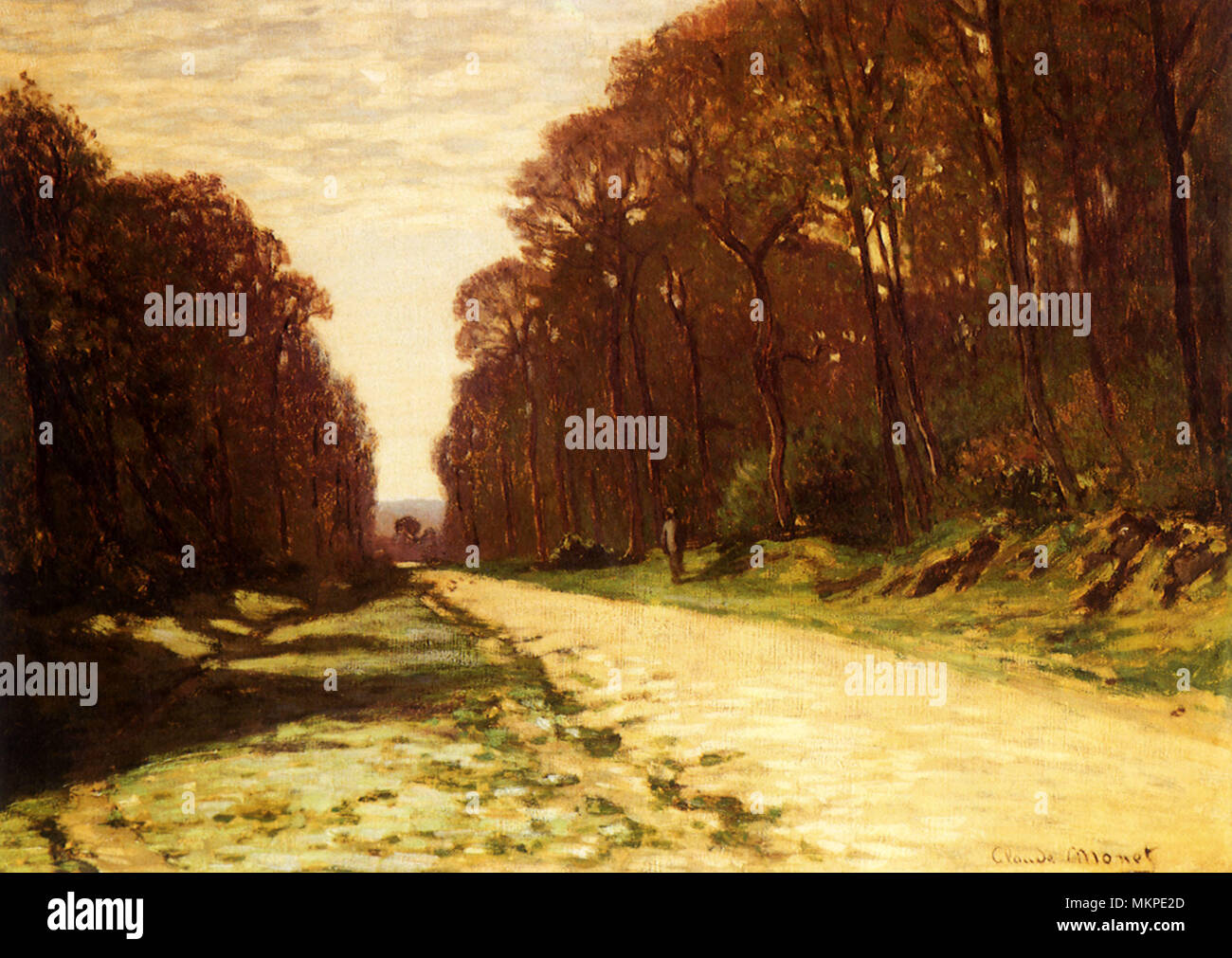 Road in the Forest of Fontainebleau Stock Photo - Alamy