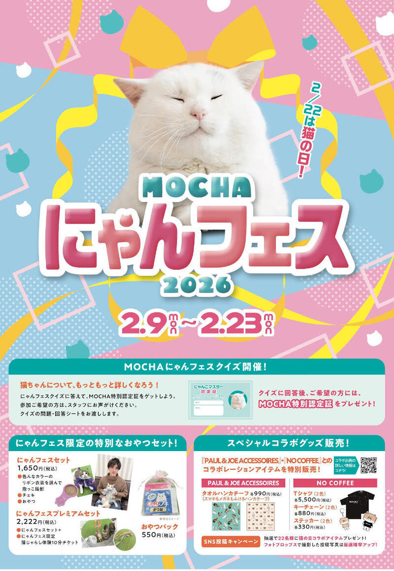 バラ売り可】にゃんずトレカ町田ジョルナ店 2024 SNSで話題沸騰のMOCHA