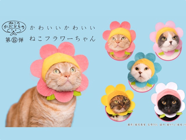 かわいい猫のかぶりものシリーズ、2017年の最終作は「ねこフラワー