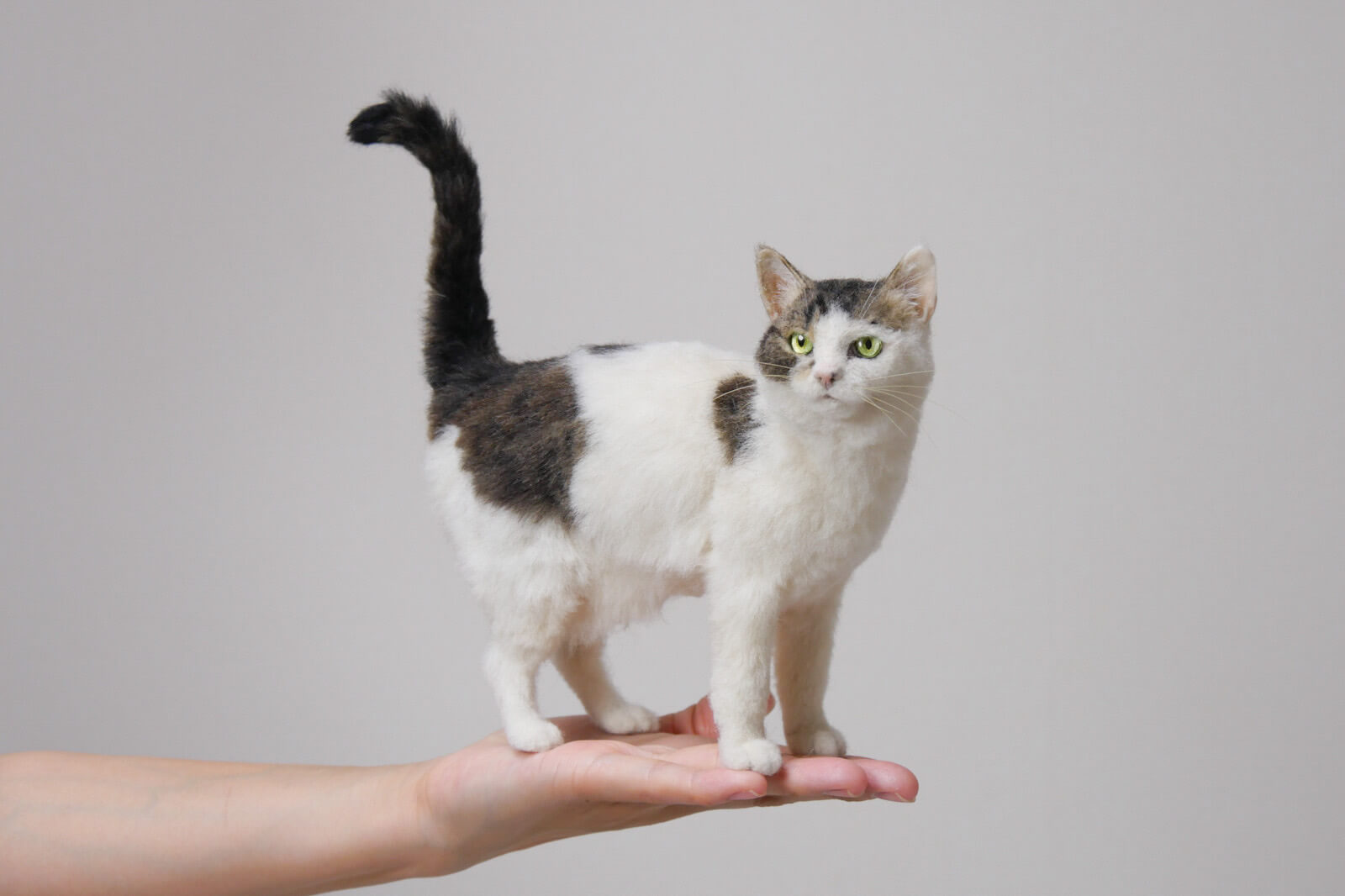 超リアルな三毛猫の作り方を伝授！動画で学べる羊毛フェルトの