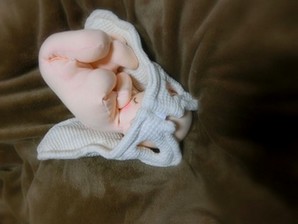 骨盤＋胎児人形 助産実習セットS | ぬくもりの赤ちゃん人形 coron*