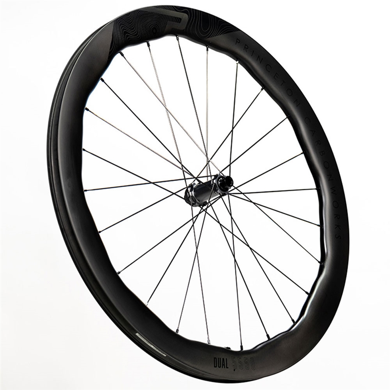 Princeton24-D5550-TR02-4T.jpg?