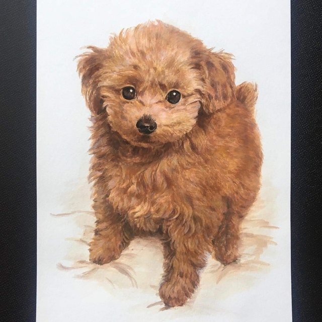 ペットの肖像画(原画販売、手描き)オーダーメイド アクリル画A4size