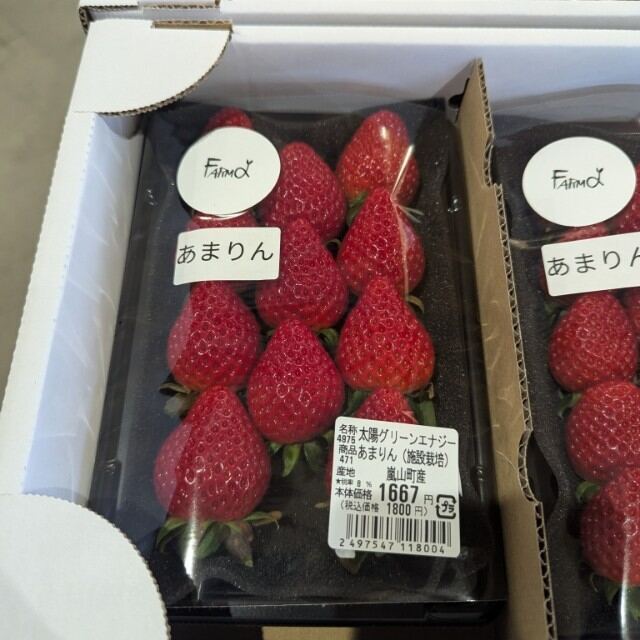 あまりん最新情報2025＆埼玉の新品種いちご｢べにたま｣を買って食べたよ