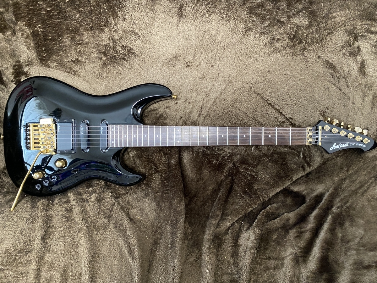 ヤフオクでギター落札 AriaProⅡ THE WARRIOR - ひでぼうの趣味のこと