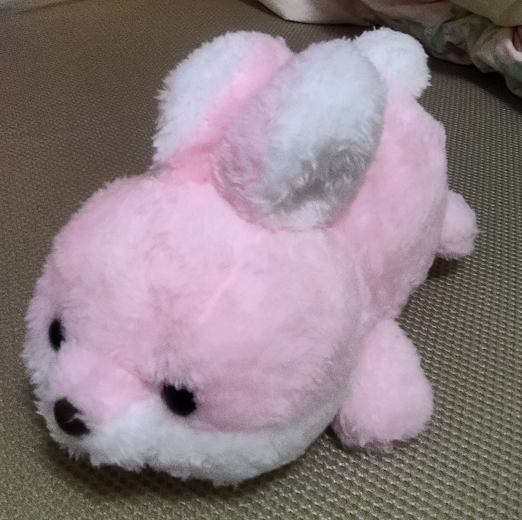ぬいぐるみくじ まとめ 〜ウサギ〜 - ぬいぐるみくじ発見紀
