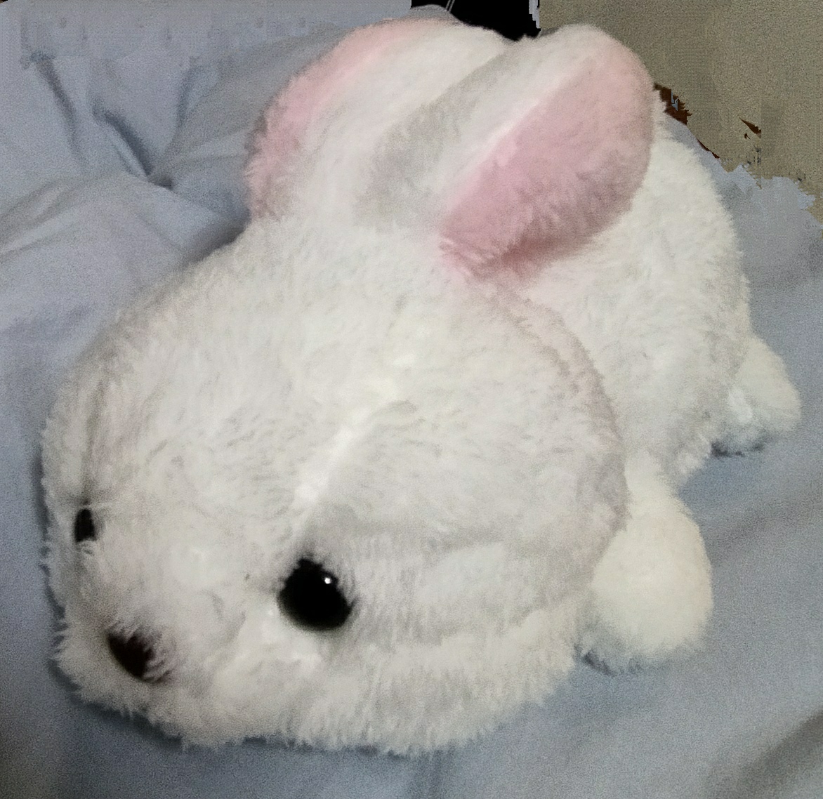 ぬいぐるみくじ まとめ 〜ウサギ〜 - ぬいぐるみくじ発見紀