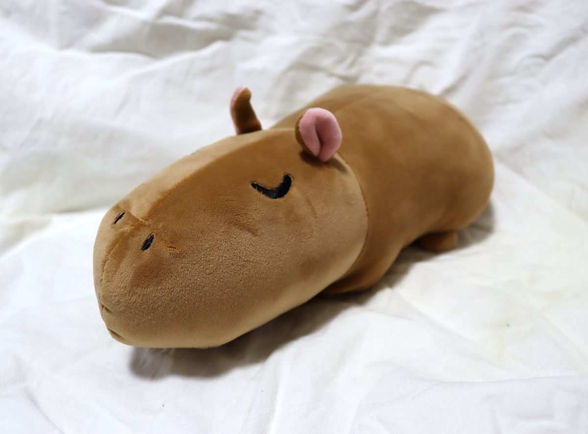 ぬいぐるみくじ まとめ ～アザラシ、カピバラ～ - ぬいぐるみくじ発見紀
