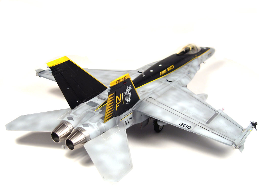 1/48 ハセガワ F/A-18 スーパーホーネット ROYAL MACES - プロモデラー