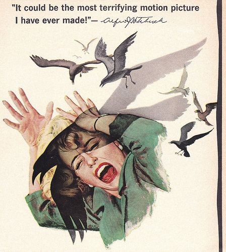 アルフレッド・ヒッチコック監督作品 鳥について Directed by Alfred