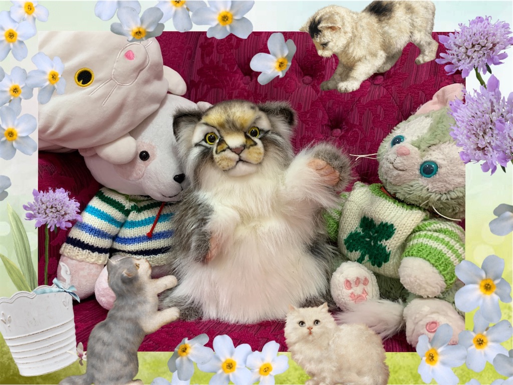 HANSAのマヌルネコさん♪ - インド舞踊！絵画モデルで活躍中のねこと