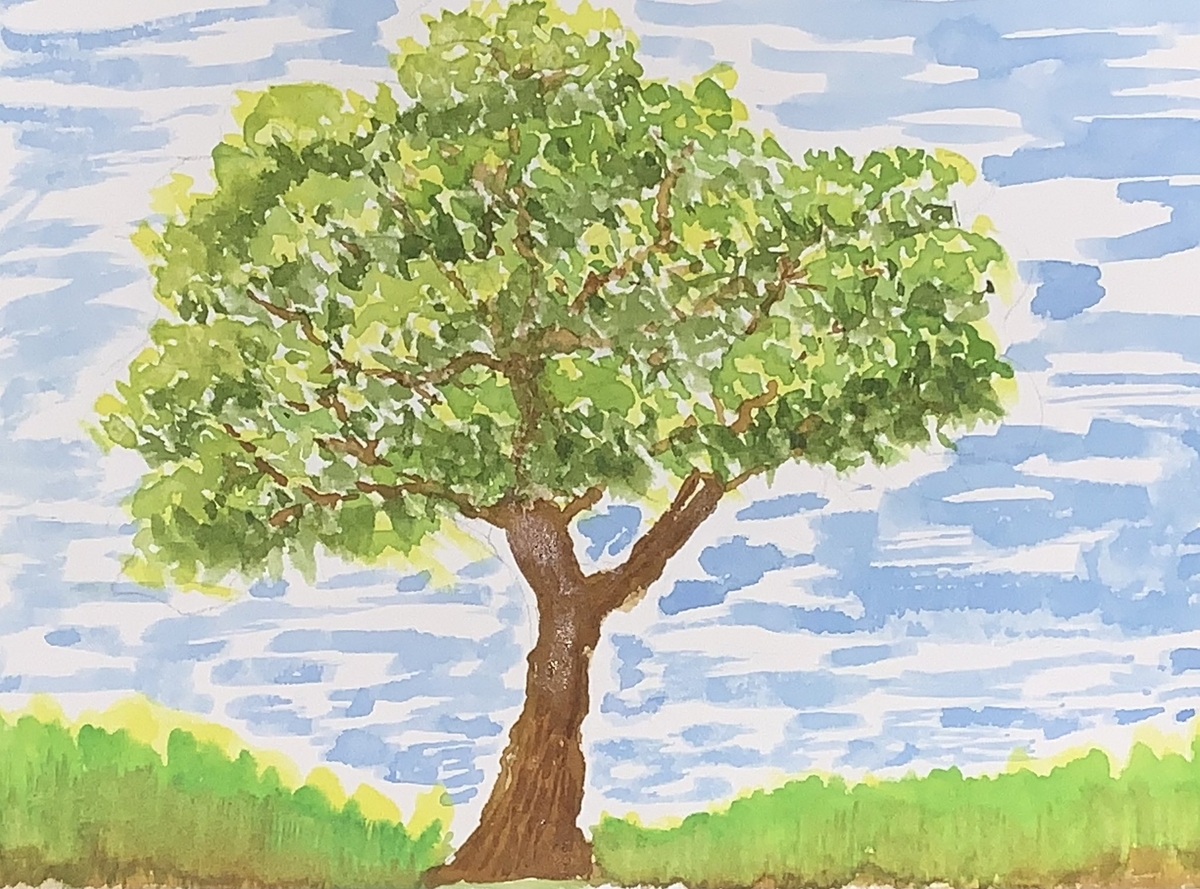 木の練習 - ワッカお絵描き日記