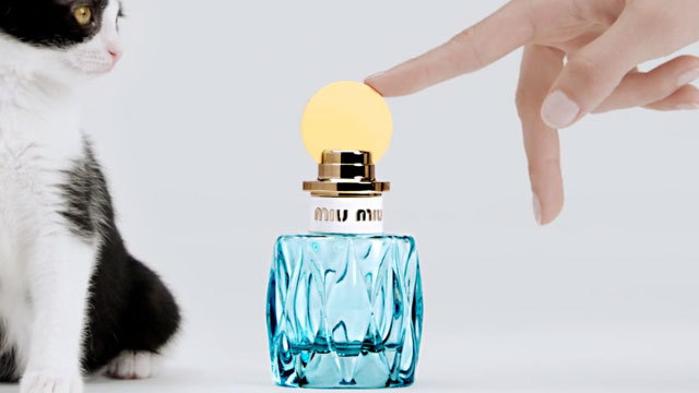 春のみずみずしいフレッシュな香りmiumiuミュウミュウローブルー