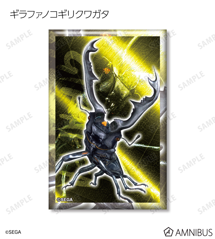 絶対糖度210cmモンスター苗◇ドワーフ・キングナムワ◇関東可 低木