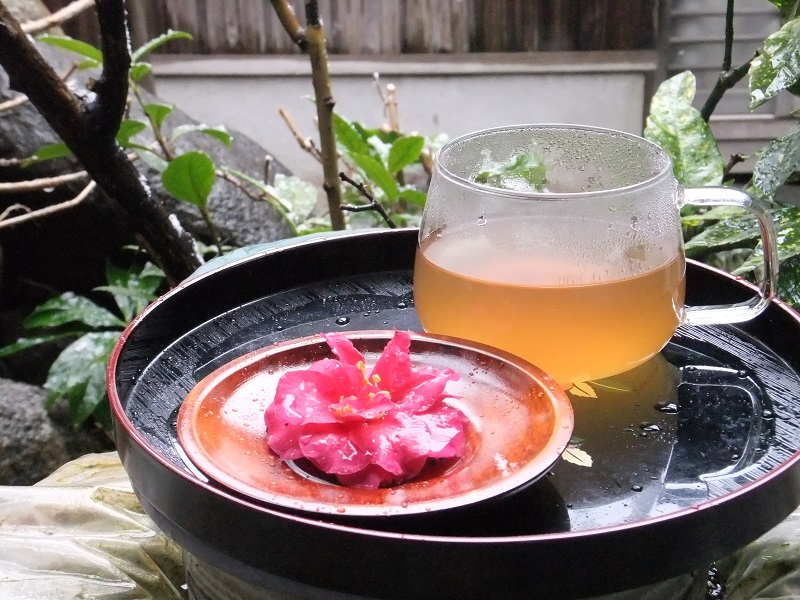 奈良県・橿原市】クラフトコーラを自分で作ってみる体験/端壮藥品工業