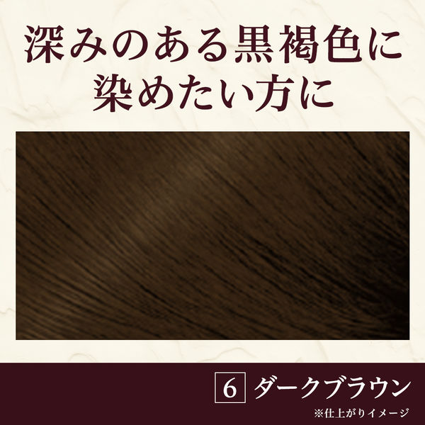メンズビゲン TAKUMI -匠- 6 ダークブラウン 白髪染め ホーユー - アスクル