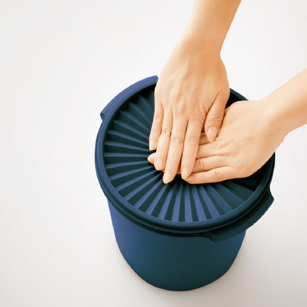 Tupperware マキシクイーンデコレーター ノクターナルシーブルー B0151
