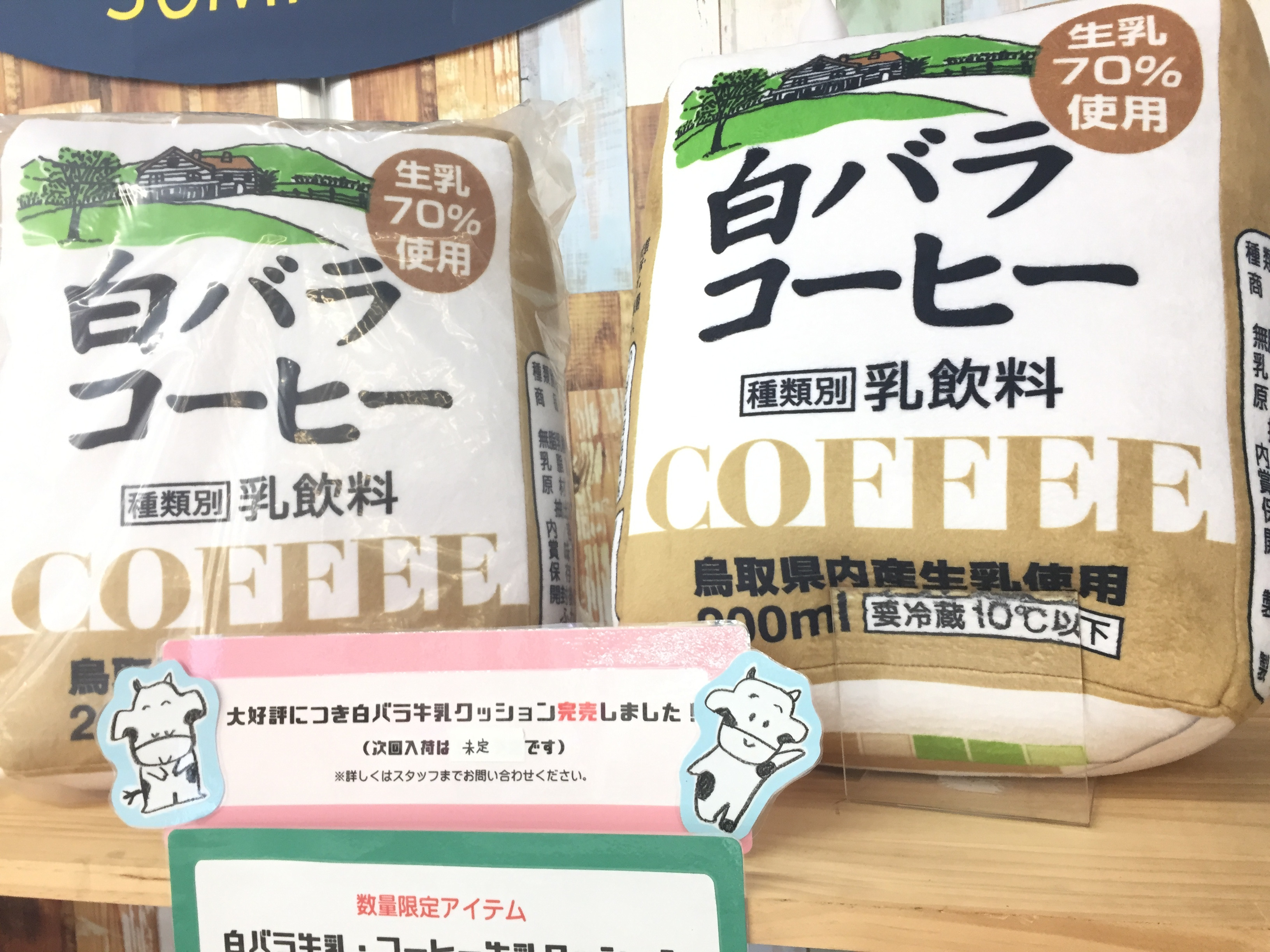 白バラビッグクッション好評発売中！ - ぶんぶん堂