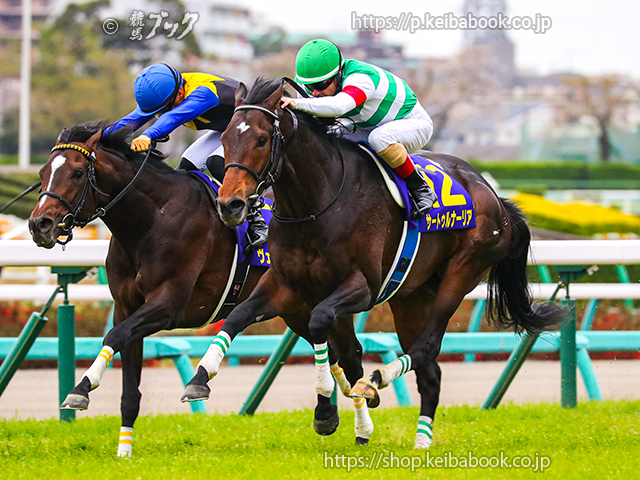今年、産駒デビューの新種牡馬は37頭 | ニュース | 競馬ブック