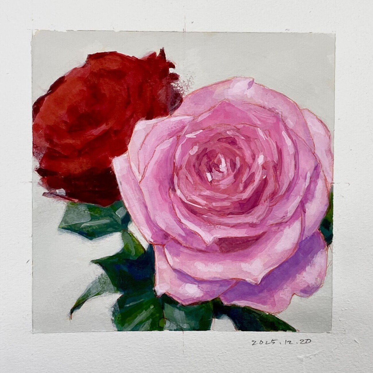 ガッシュで描く 一日一絵 『薔薇の花』ホルベイン不透明水彩 17日目