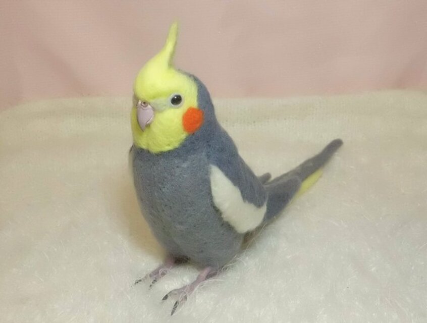 リアル！オカメインコ ノーマル♂ 羊毛フェルト 受注製作 ライフサイズ