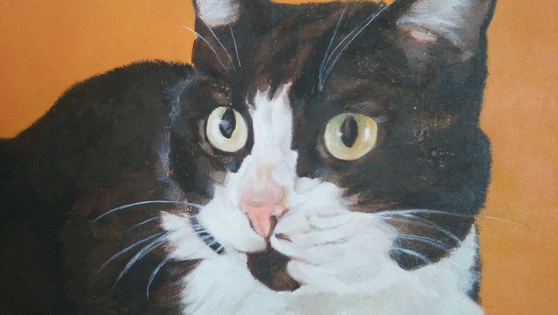 猫イラスト「なにみてるの？」原画（アクリル板つき） | iichi 日々の