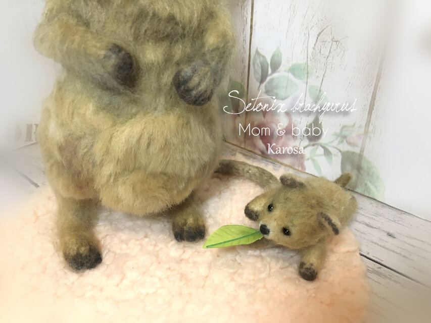 クアッカワラビー クオッカ ママ＆赤ちゃん 袋から出入り自由！ 羊毛