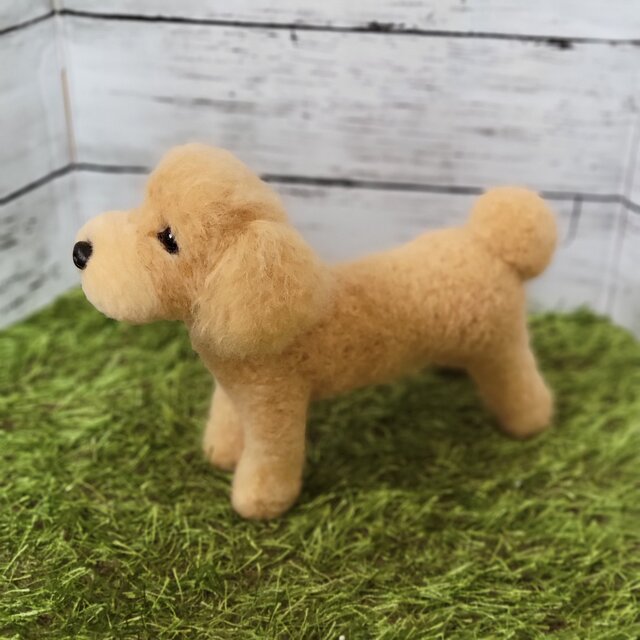 羊毛フェルト 犬 ワンコ プードル ペット うちの子 虹の橋 トイプー 犬