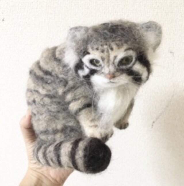受注制作☆羊毛フェルトのマヌルネコ子猫 | iichi 日々の暮らしを