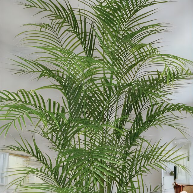 光触媒 人工観葉植物 ウォールグリーン フェイクグリーン アレカヤシ