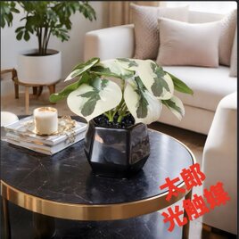 光触媒 人工観葉植物 フェイクグリーン フェニックス・ロベレニー PLUS