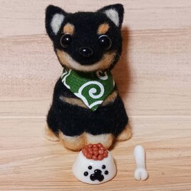 羊毛フェルト くろねこちゃん抱えたハチ猫ちゃん | iichi 日々の暮らし