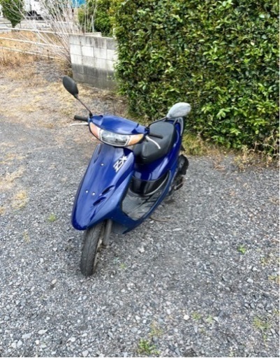 549. 動画あり ホンダ ライブディオ ZX仕様 原付 バイク 50cc ショップ