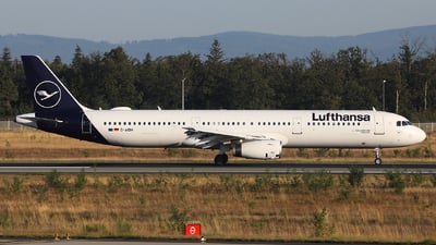 N1807 | Douglas DC-8-62(CF) | Hawaiian Airlines | PAUL LINK