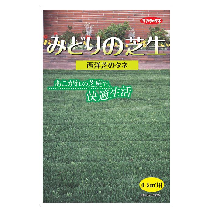 Benidai 芝生の種 ゼニゴケプラス エリオトロプラス 6個セット Benidai
