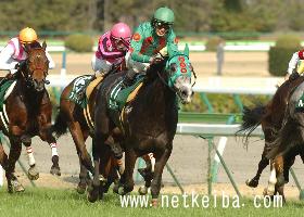 show_photo.php?horse_id=