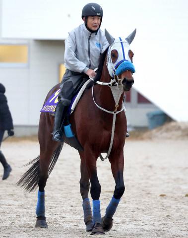 有馬記念・吉田が見た】「日高の馬」過去にはオグリキャップ