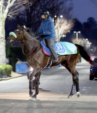 期限切れ単勝馬券】 有馬記念 2007 マツリダゴッホ ウマ娘 他全頭