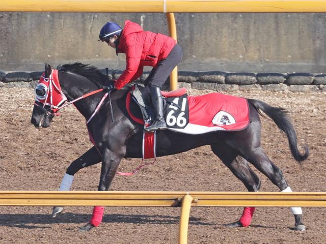 京都金杯2026 レース映像】ブエナオンダ(川田将雅)/JRA 結果 | 競馬