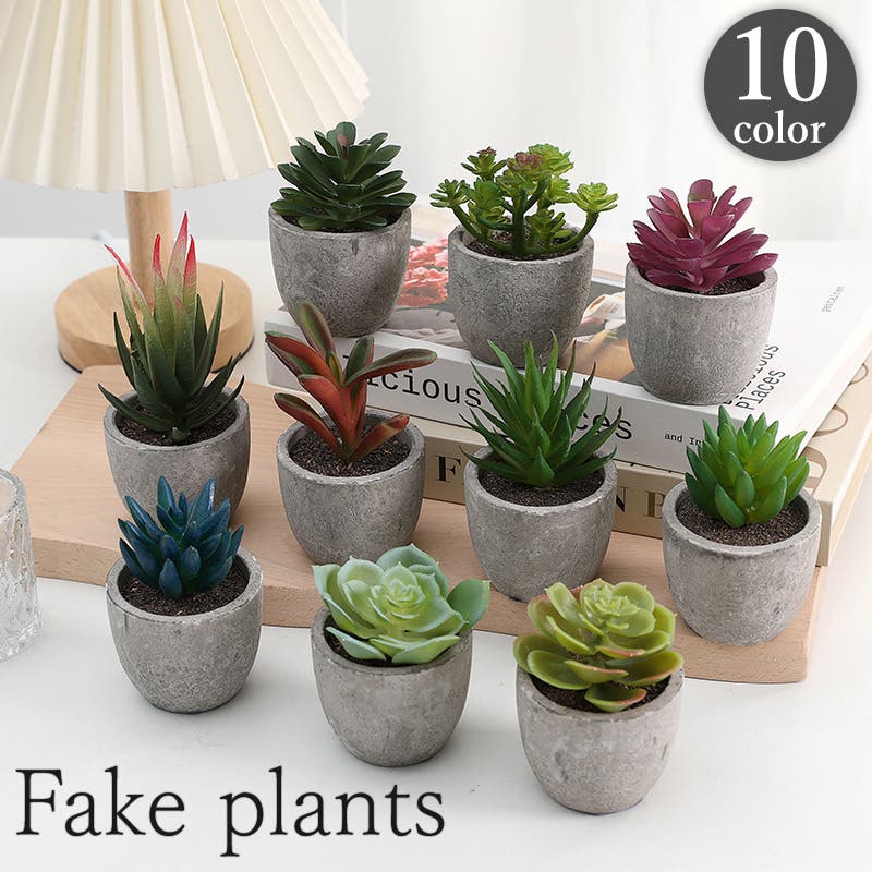 フェイクグリーン 人工観葉植物 多肉植物[品番：FQ000201127]｜PlusNao