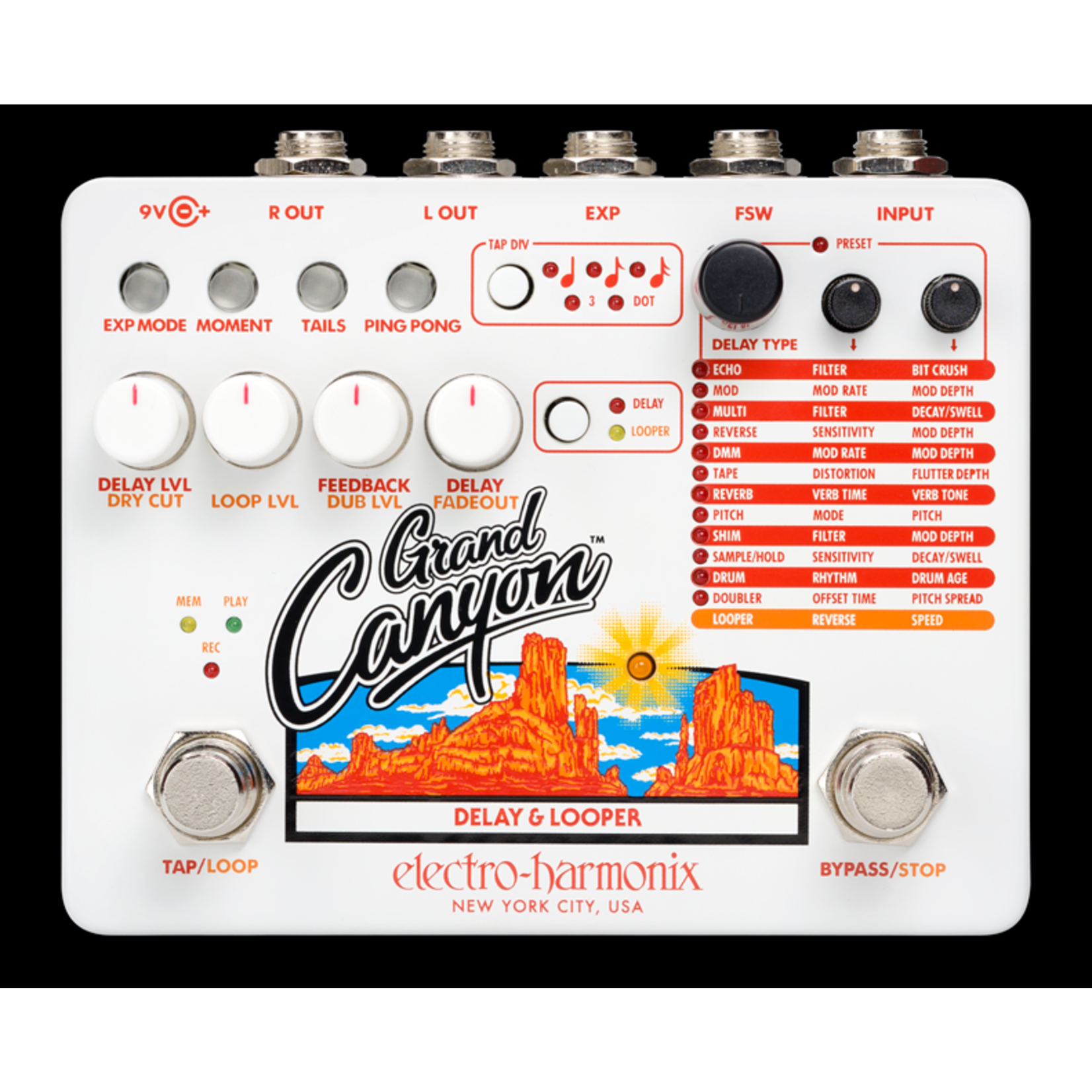 Electro-Harmonix Grand Canyon Delay & Looper - Sound of Music