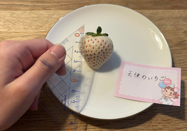 天使のいちご（白いちご）の糖度は？旬な時期と味や品種の特徴も紹介