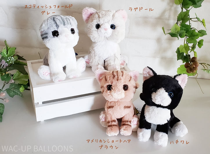 お悔み お供え 猫 ぬいぐるみ 虹色 花 黒猫/ミケ/スコティシュ