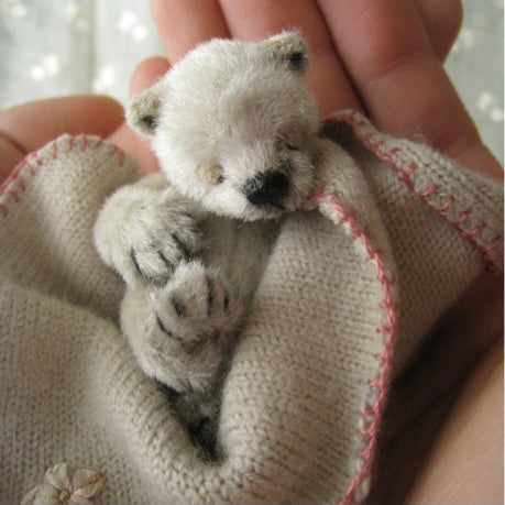 Saeri Bear 小町さえり – Bear Fruit Café