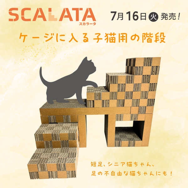 7/16発売！】ケージに入る子猫用の階段「カリカリーナピッコラ SCALATA
