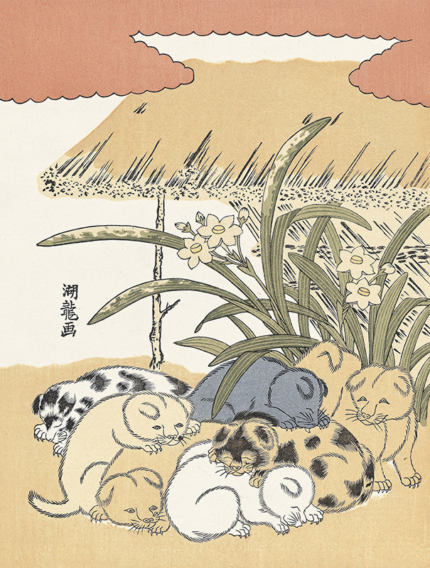 磯田湖竜斎