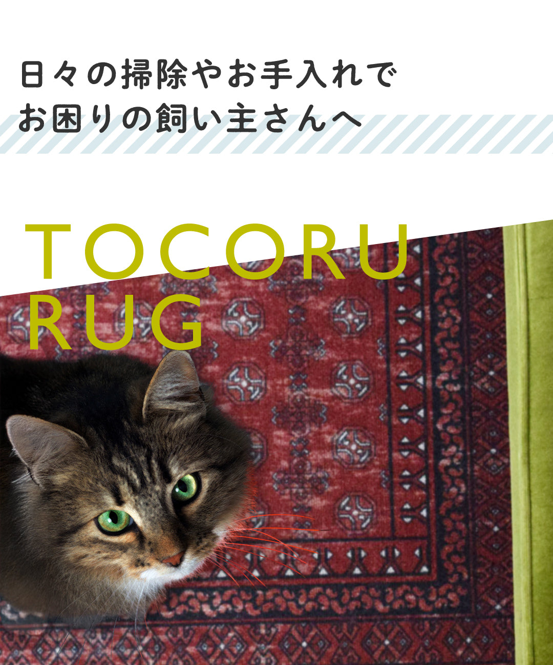 猫ちゃんとの快適ライフを、TOCORUで叶う理想のお部屋– ラグと